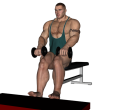 Calf Raise - Seated Dumbbell